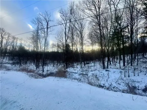 Land in Laurens, NY