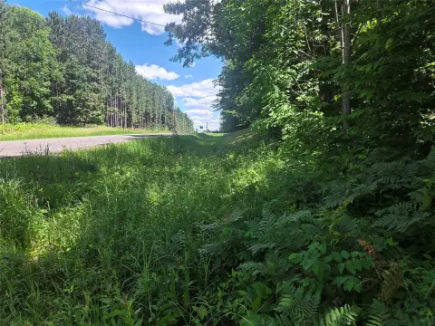 Wooded Recreation Land Parcel
