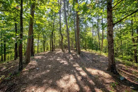 13 Acres Wooded Homesite