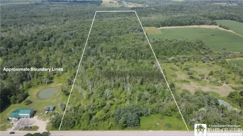 Wooded Recreational Land Parcel