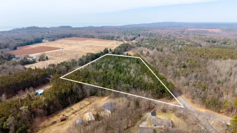 Wooded Land in West Olive