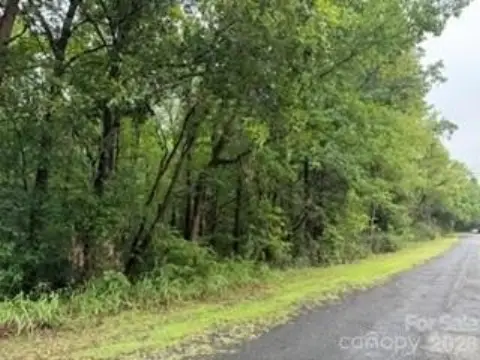 Unimproved Wooded Development Tract