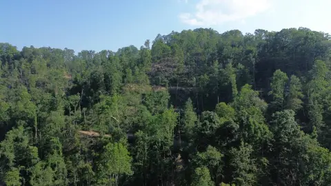 Wooded Recreation Land