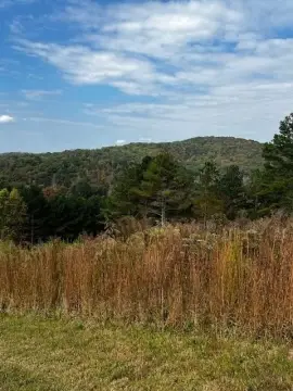 Blairsville Vacant Lot with Mountain Views