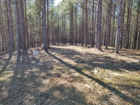 Dover TN Vacant Land