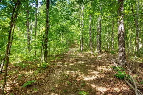 Hunting Recreational Land Tract