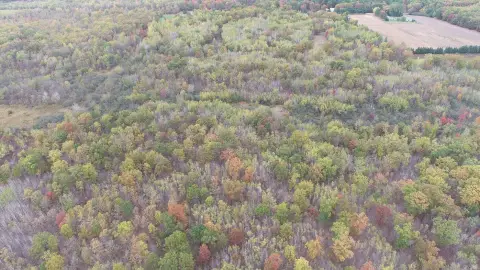 Buildable Hunting Land with Food Plot