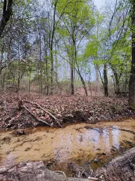 21-Acre Homesite Near Center, TX