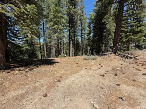 South Lake Tahoe Land Opportunity