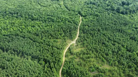 322 Acres Hunting/Residential Land