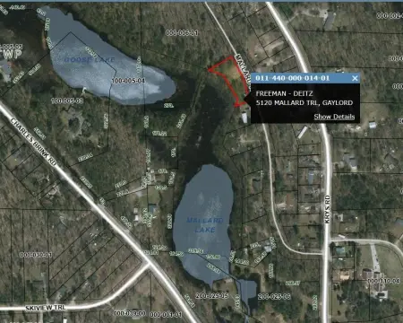 Land Near Downtown Gaylord