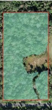 Residential Land Near Disney Parks