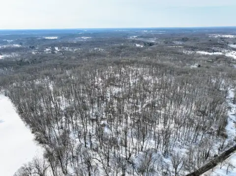 Bellevue, MI Timber Hunting Land
