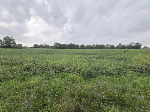 Rolling Agricultural Land