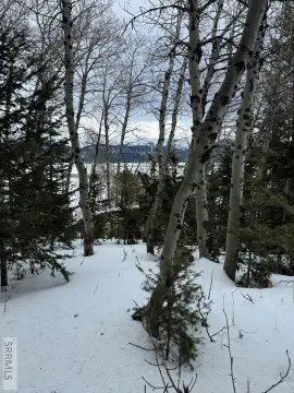 Island Park Treed Double Lot