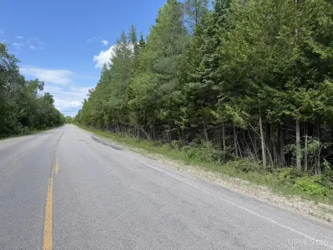 Wooded Recreational Land with Road Frontage