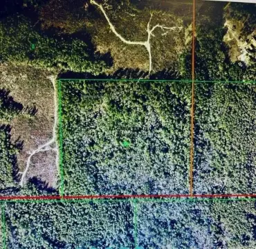 Wooded Recreational Land Tract