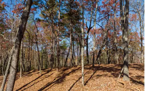 Ellijay, GA River Access Lot