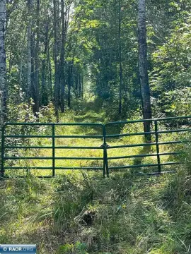 Secluded Hunting Land with River