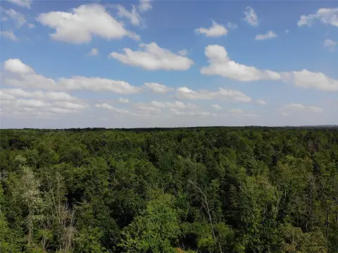 Wooded Hunting and Cabin Site