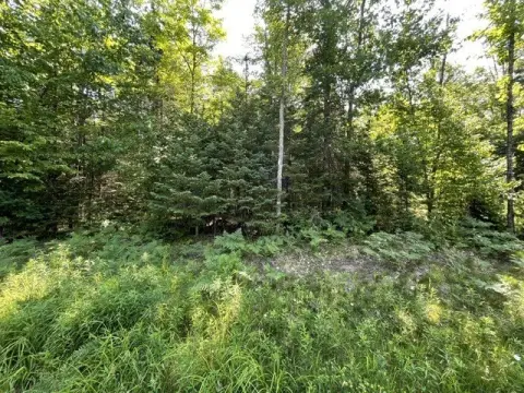 Wooded Recreational Land Parcel