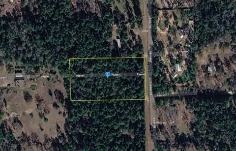 2.5 Acres of Wooded Land