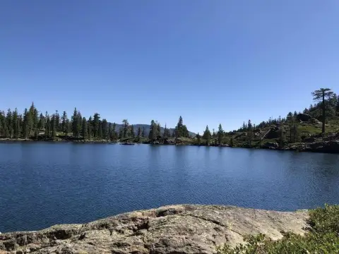 Pristine Land Near Packer Lake