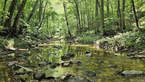 Ozark Hunting Land Near River