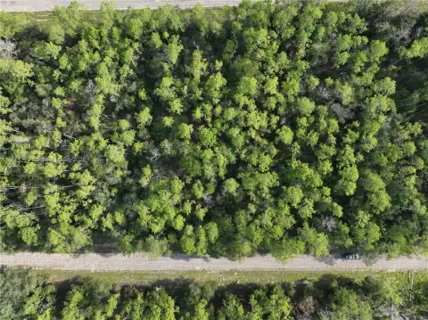 Vacant Land in Dunnellon