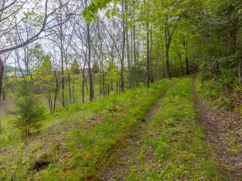 56 Acres Near Downtown Franklin