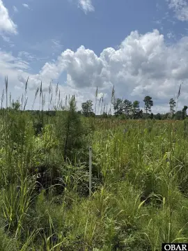 Acre Lot in New Hope