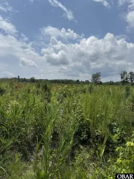 Acre Lot in New Hope