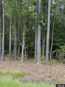 Wooded Lot Near Boat Ramp