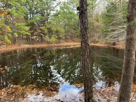 Wooded Hunting Land