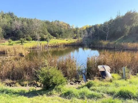 Farm Property with Creek