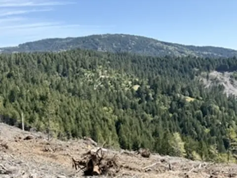 Timberland Recreation Property
