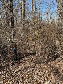 Land on Indian Rock Lake