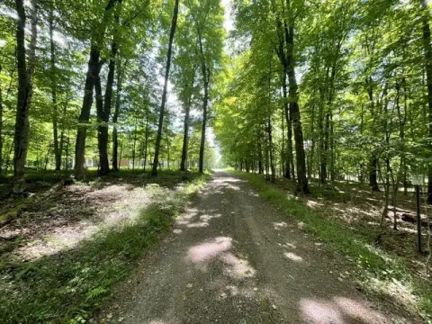 Level Waterfront Land with Sandy Shore