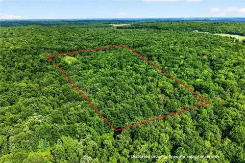 Recreational Hunting Land with Trails