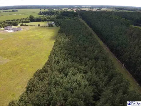 Wooded Recreational Land Tract