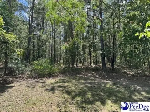 Recreational and Residential Acreage