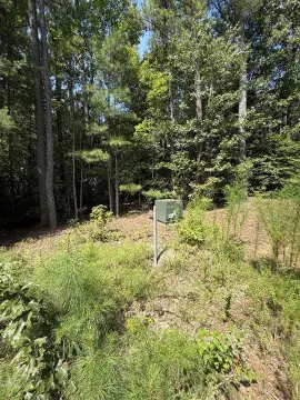 Wooded Hunting Land