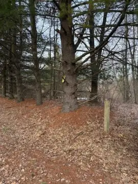 8.48 Acres of Wooded Land