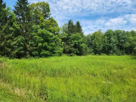 Vacant Land in Findley Lake