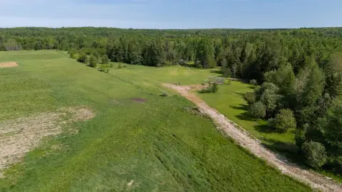 Recreational Hunting Land with Build Site