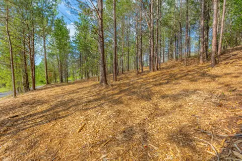 Residential Land in Flintstone, GA