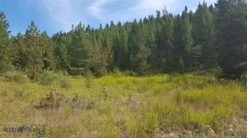 Treed Acreage Home Lot