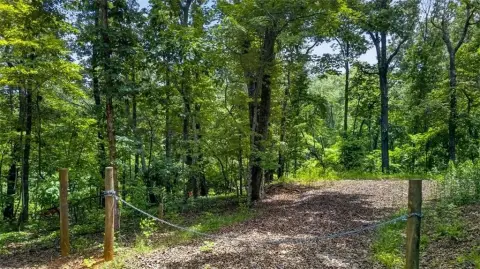 AG-Zoned Wooded Homesite Tract