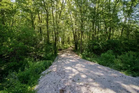 Wooded Land in Green Twp