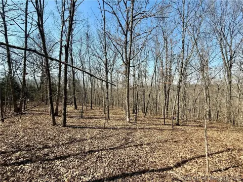 Versailles, MO - 9 Acre Land